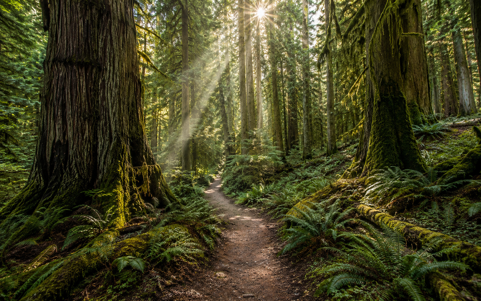 Trail Etiquette for Hikers